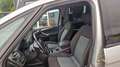 Ford Galaxy 2,0 TDCI aut. Business Plus Argent - thumbnail 7