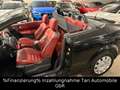 Renault Megane II Coupe / Cabrio Dynamique Luxe Leder Siyah - thumbnail 5
