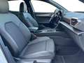 CUPRA Leon 1.5 eTSI DSG LED*NAVI*ACC*PDC*VIRTUAL*SHZ*TOTW*... Blanc - thumbnail 10