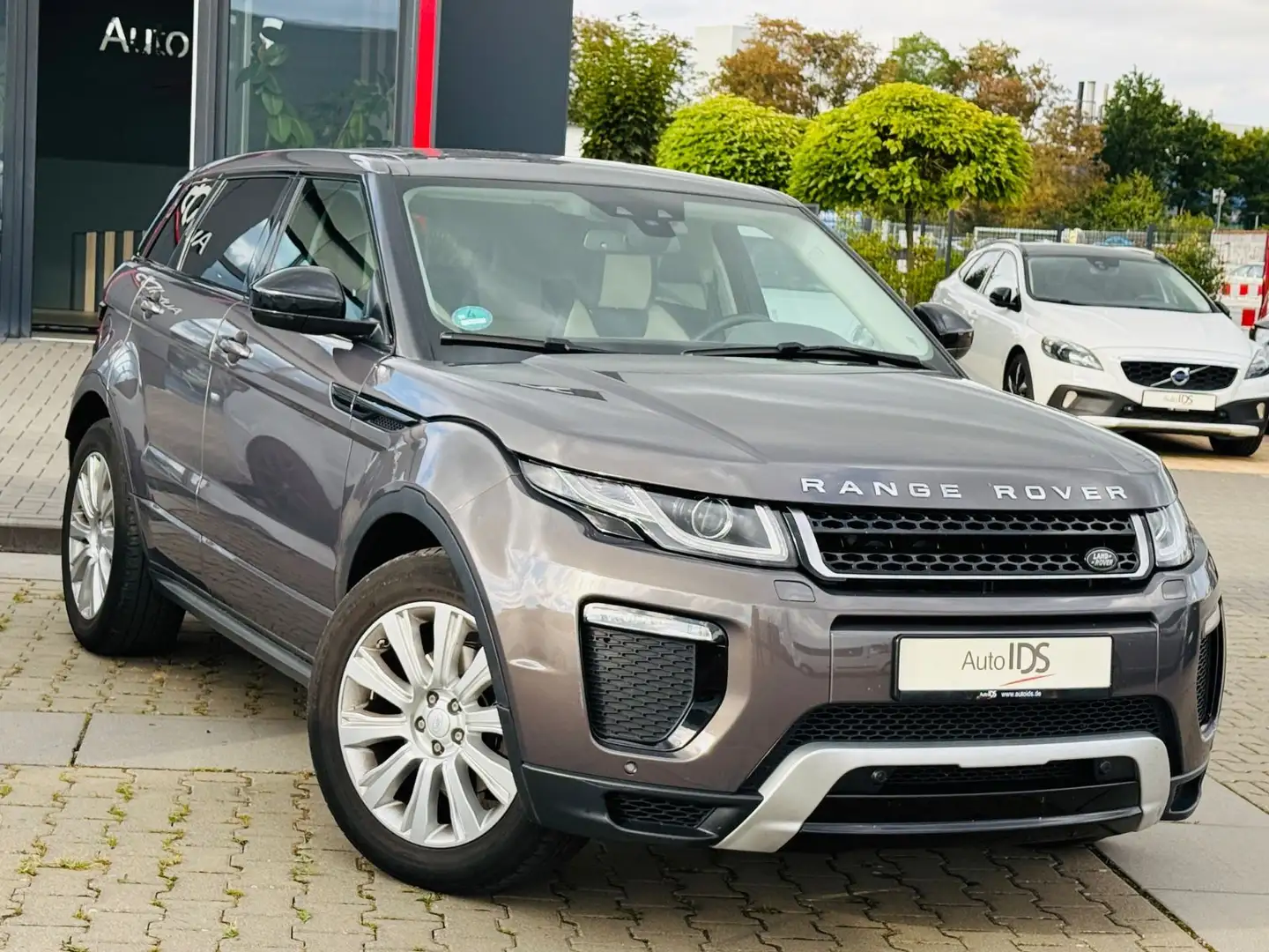 Land Rover Range Rover Evoque SE Dynamic 4x4 Grau - 2