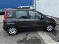 Fiat Panda 1.2 Lounge Braun - thumbnail 3