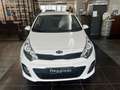 Kia Rio Rio 1.1 CRDi 5p. Active Collection Bianco - thumbnail 1