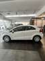 Kia Rio Rio 1.1 CRDi 5p. Active Collection Bianco - thumbnail 5