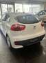 Kia Rio Rio 1.1 CRDi 5p. Active Collection Bianco - thumbnail 3