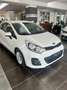 Kia Rio Rio 1.1 CRDi 5p. Active Collection Bianco - thumbnail 2