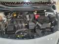 Nissan Micra 1.0 Acenta 71cv OK NEOPATENTATI Blanco - thumbnail 6