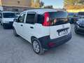 Fiat Panda 2 posti VAN 1.2 BENZINA 69CV Bianco - thumbnail 2