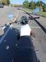 Moto Guzzi V 7 special Bianco - thumbnail 6