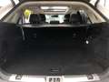 Ford Edge 009 Edge 2.0 TDCi 4x4 Automatik Sport Weiß - thumbnail 10