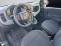 Fiat Panda Pandina III 2024 Pandina 1.0 firefly hybrid Pop s Nero - thumbnail 9