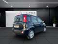 Fiat Panda Pandina III 2024 Pandina 1.0 firefly hybrid Pop s Nero - thumbnail 5