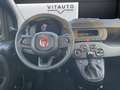 Fiat Panda Pandina III 2024 Pandina 1.0 firefly hybrid Pop s Nero - thumbnail 12