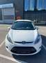 Ford Fiesta Fiesta 1.25Trend Weiß - thumbnail 2