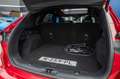 Ford Kuga 2.5 PHEV ST-Line X | Airco (automatisch) | Apple C Rood - thumbnail 20