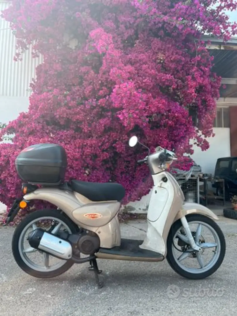 Aprilia Scarabeo - 2