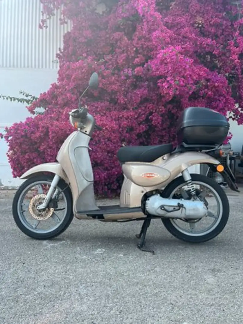 Aprilia Scarabeo - 1