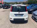 Fiat Panda Panda 1.0 firefly hybrid City Life s Bianco - thumbnail 5