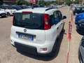 Fiat Panda Panda 1.0 firefly hybrid City Life s Bianco - thumbnail 6