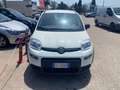 Fiat Panda Panda 1.0 firefly hybrid City Life s Bianco - thumbnail 2