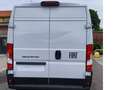 Fiat Ducato 2.2 MJET 140cv 35 Q.li  L2H2 my25 Blanco - thumbnail 3
