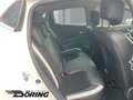 Renault Clio Energy 1.2 118PS 1. Hand & Allwetterreifen Blanco - thumbnail 11