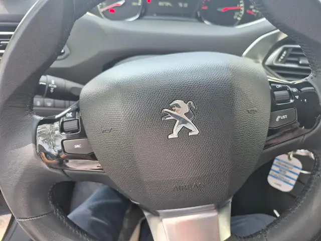 Peugeot 308 view 14