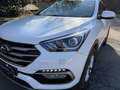 Hyundai SANTA FE 2.2 crdi XPOSSIBLE 4wd auto UNICOPROPRIETARIO Weiß - thumbnail 2