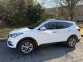 Hyundai SANTA FE 2.2 crdi XPOSSIBLE 4wd auto UNICOPROPRIETARIO Weiß - thumbnail 6