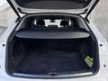 Audi Q5 50 TDI Quatt S-Line Virt Cam Nav SHZ DAB+ 20" Weiß - thumbnail 13