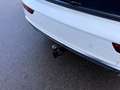 Audi Q5 50 TDI Quatt S-Line Virt Cam Nav SHZ DAB+ 20" Weiß - thumbnail 15