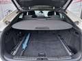 BMW X6 xDrive40d Sport Activity Coupé Aut. Weiß - thumbnail 9