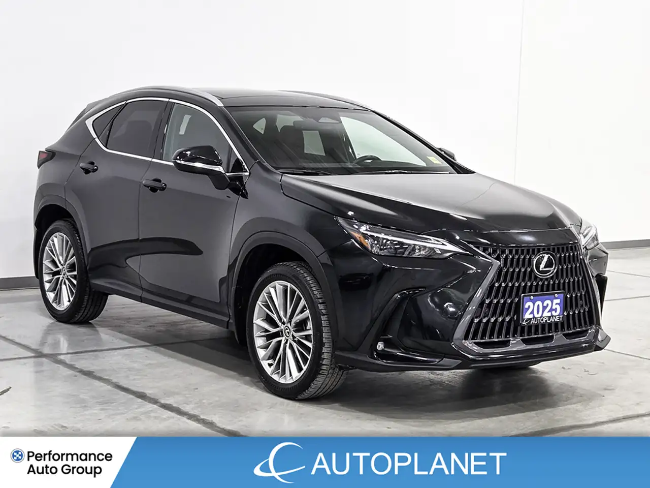 Lexus NX photo Lexus NX