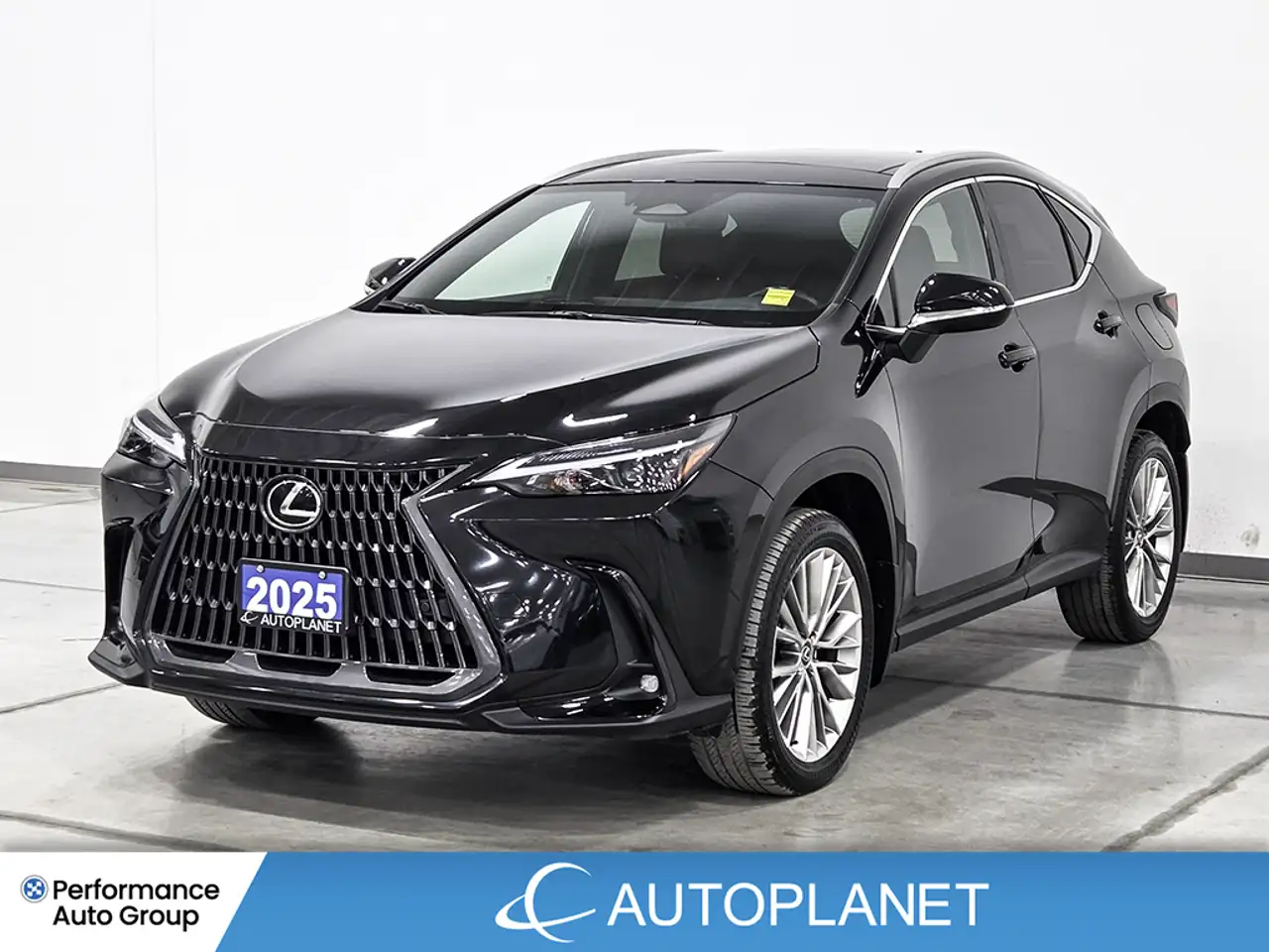 2025 Lexus NX