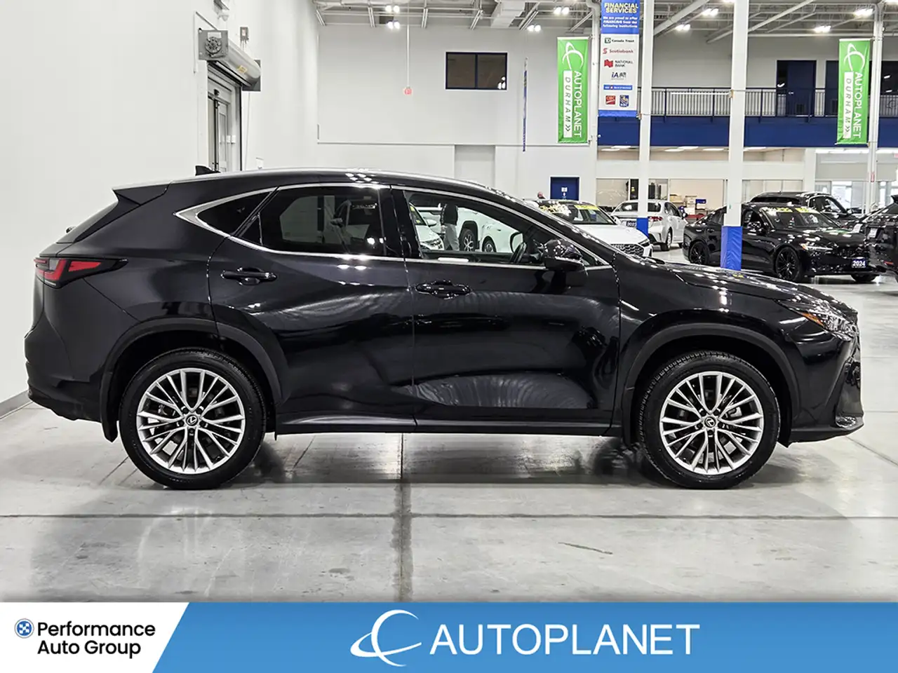 Lexus NX photo Lexus NX