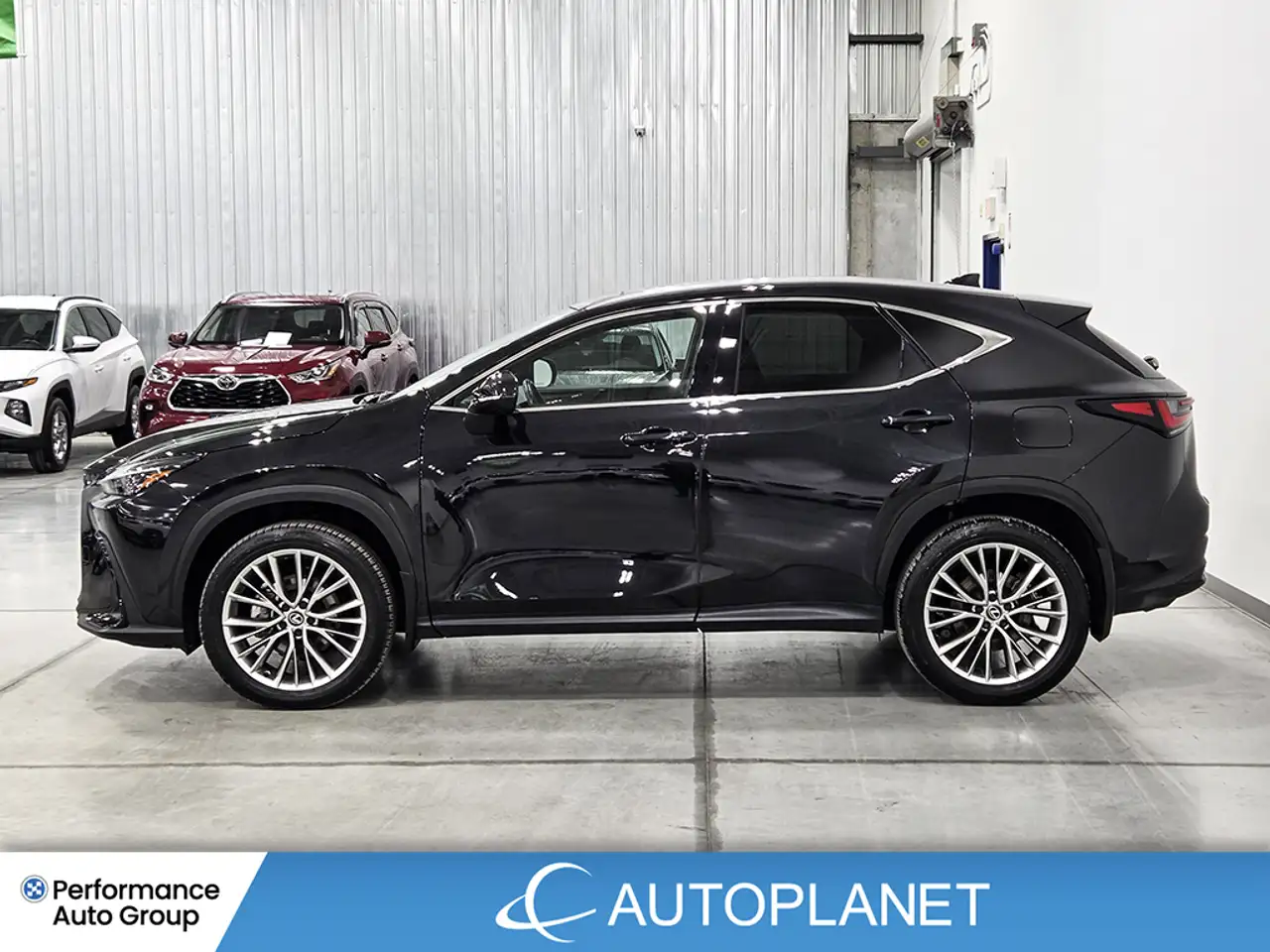 Lexus NX photo Lexus NX