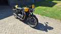 Triumph Street Twin Triumph Street Cup Amarillo - thumbnail 11