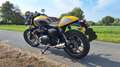 Triumph Street Twin Triumph Street Cup Amarillo - thumbnail 2