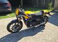 Triumph Street Twin Triumph Street Cup Amarillo - thumbnail 12