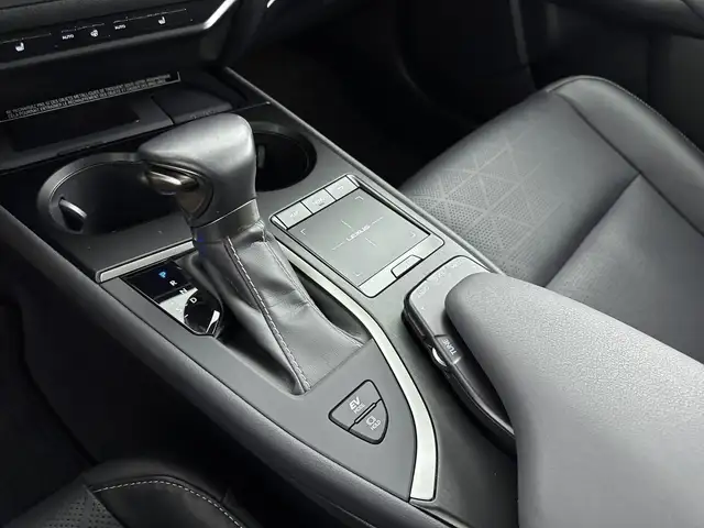 Lexus Ux view 13