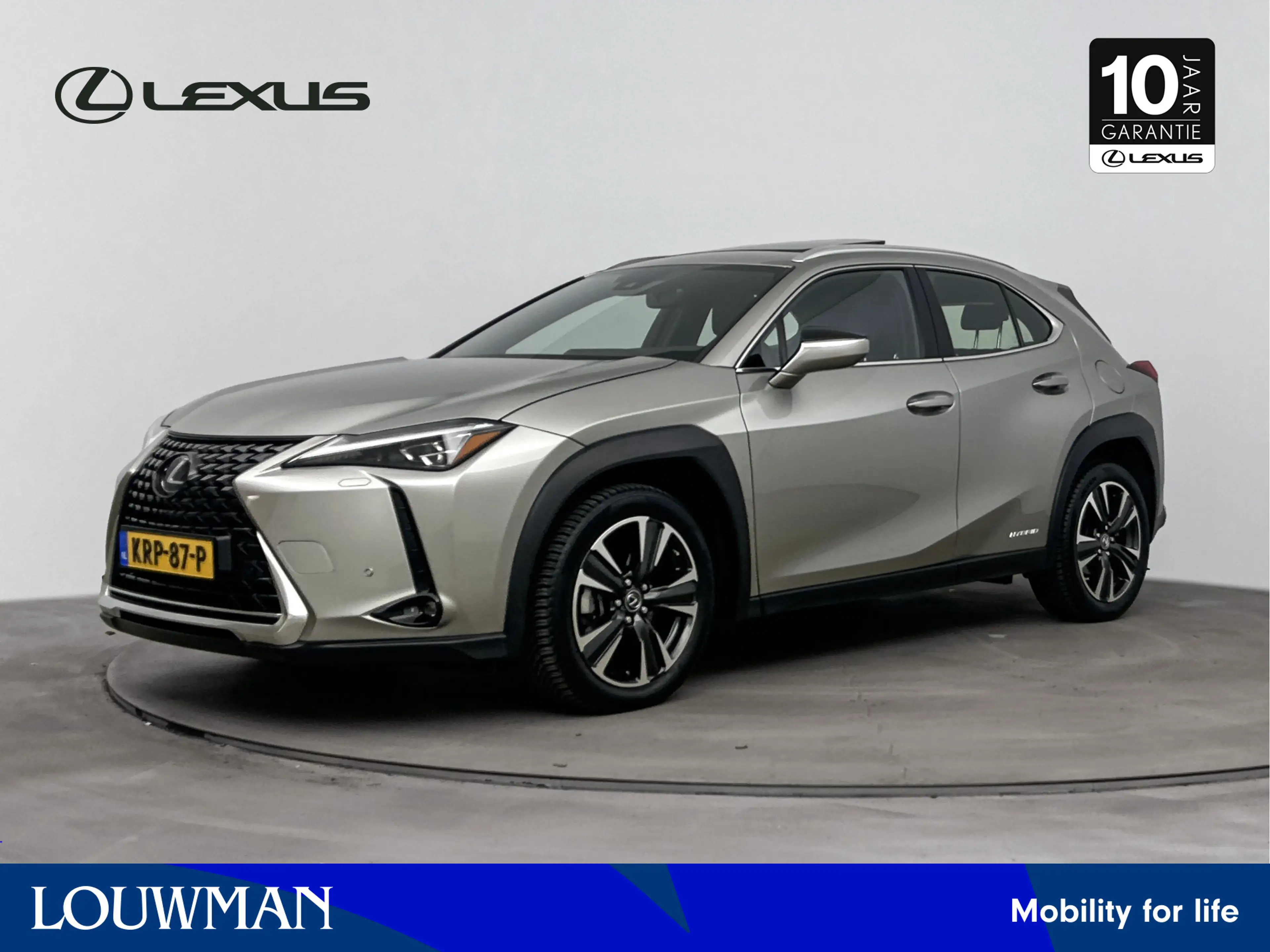 Lexus UX 250h Executive Line Limited | Mark-Levinson | Schuif- K