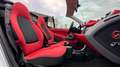 smart forTwo Cabrio TURBO | MSM-Smart Performance Package! Wit - thumbnail 14