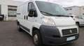Fiat Ducato Kasten 28 100 1.Hand Weiß - thumbnail 4