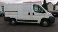 Fiat Ducato Kasten 28 100 1.Hand Weiß - thumbnail 5