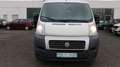 Fiat Ducato Kasten 28 100 1.Hand Weiß - thumbnail 3