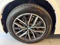 BMW X1 xDrive23d 48V Aut. M-Paket/AHK/Hud/ACC+ Weiß - thumbnail 13