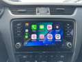 Skoda Octavia Combi 2,0 TDI Ambition Limited DSG Ambition Limti Grau - thumbnail 12