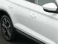 Skoda Kodiaq Style 2.0 TSI DSG 4x4 *ACC*StdHz*PANO*19* Alb - thumbnail 28