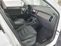 Skoda Kodiaq Style 2.0 TSI DSG 4x4 *ACC*StdHz*PANO*19* Білий - thumbnail 4