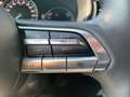Mazda CX-30 G150 Comfort+ Aut. Grau - thumbnail 12