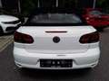 Volkswagen Golf VI Cabriolet Basis BMT Bianco - thumbnail 13